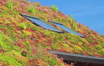 The Batch living roof systems