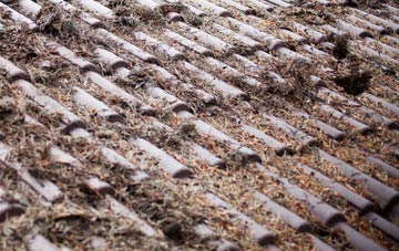 The Batch roof cleaning companies