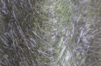 The Batch fibreglass roof work